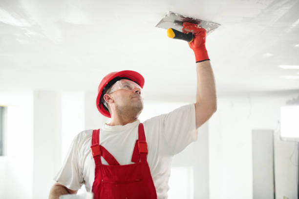 Best Repainting for Renovations  in Ashwaubenon, WI